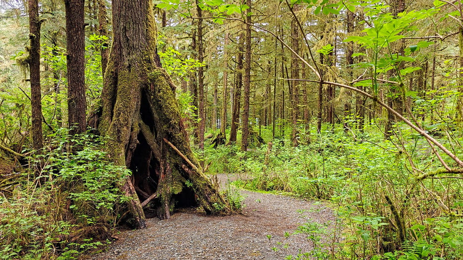 Tongass National Forest