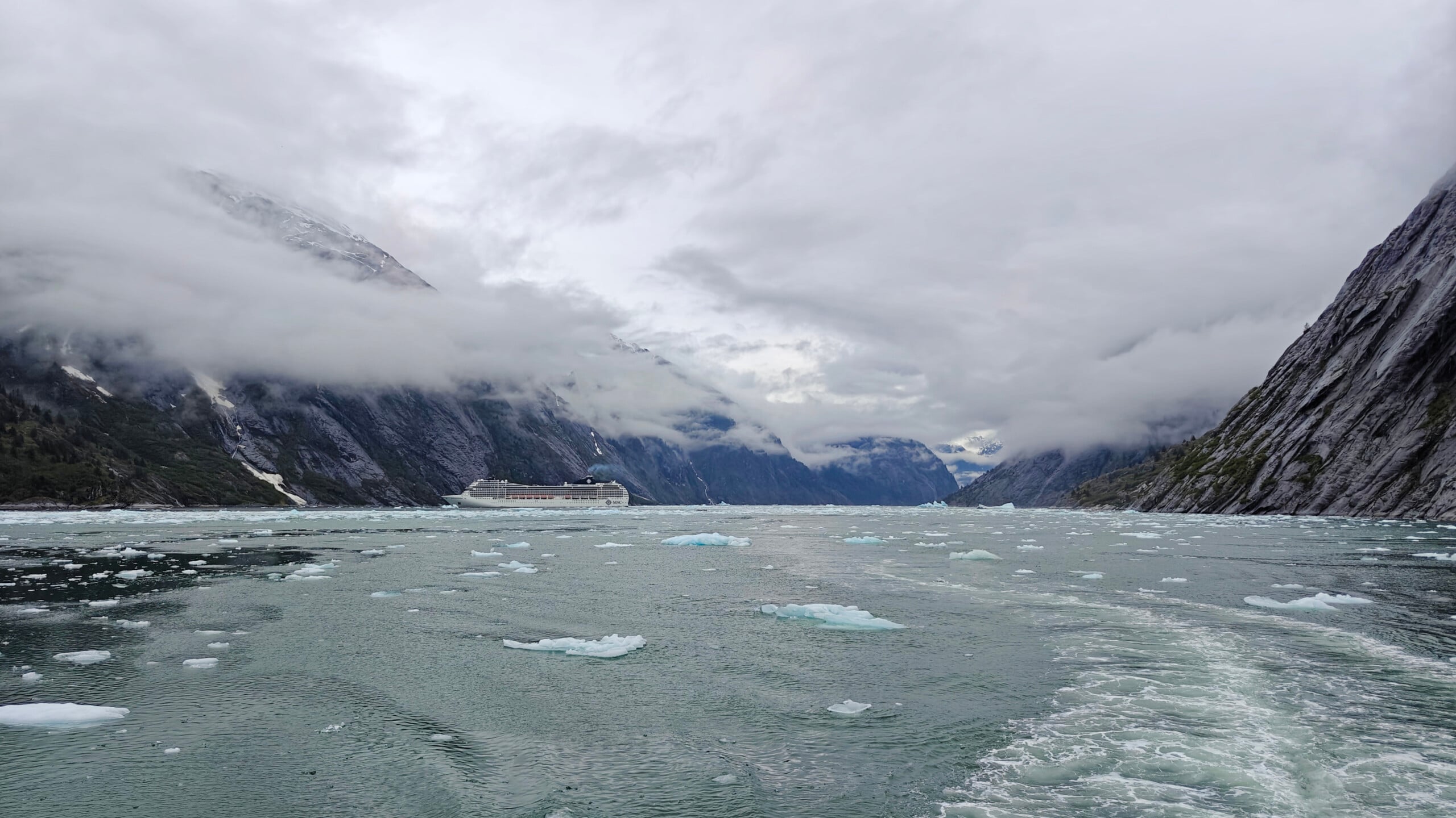 Endicott Arm Fjord