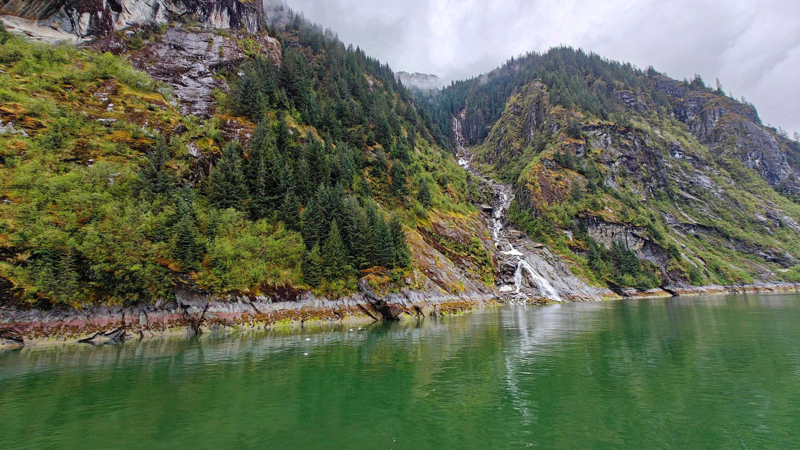 Endicott Arm Fjord