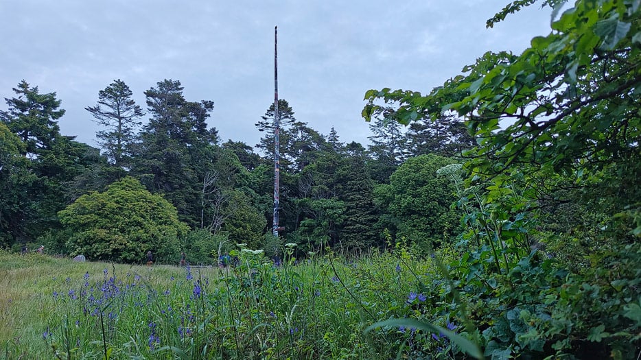 Beacon Hill Totempfahl