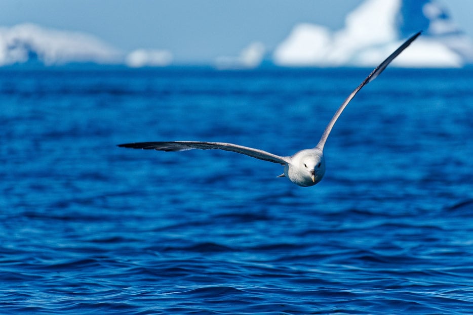 Discovery-Kajak in der Bucht vor Qeqertarsuaq