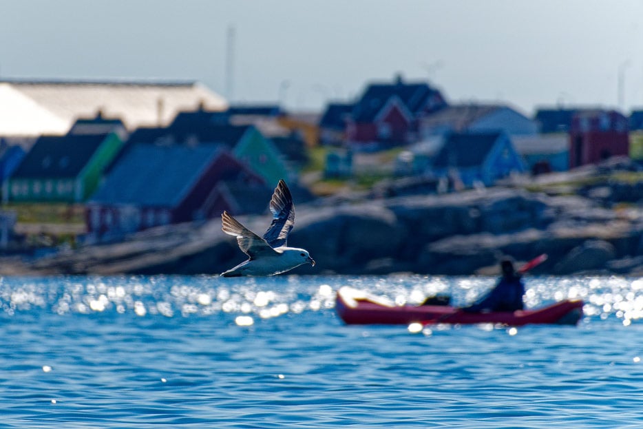 Discovery-Kajak in der Bucht vor Qeqertarsuaq