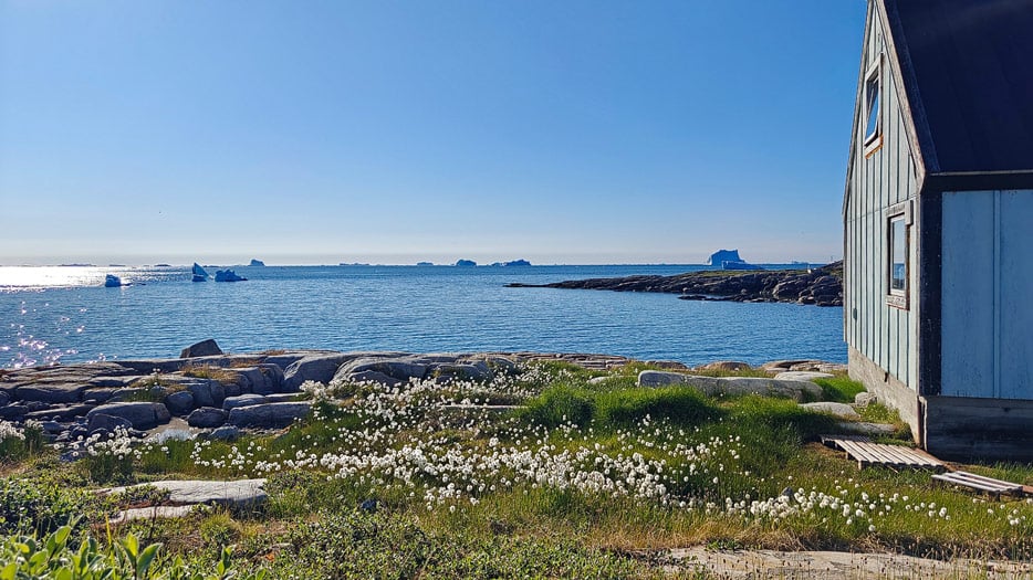 Qeqertarsuaq