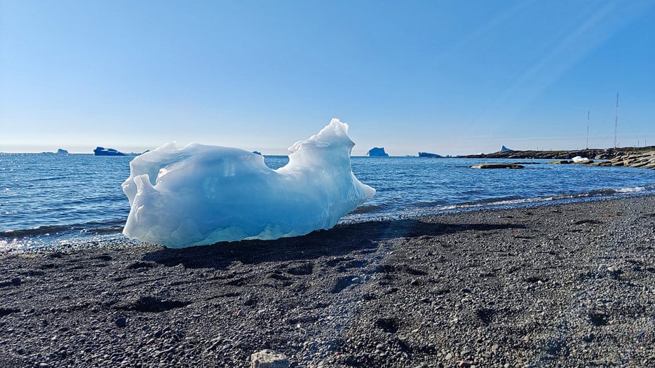 Qeqertarsuaq