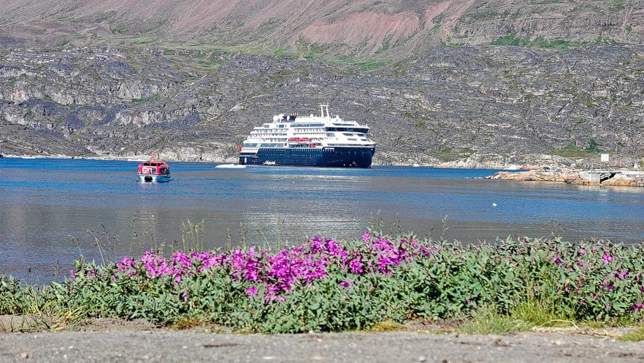 Qeqertarsuaq