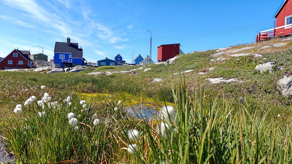 Qeqertarsuaq