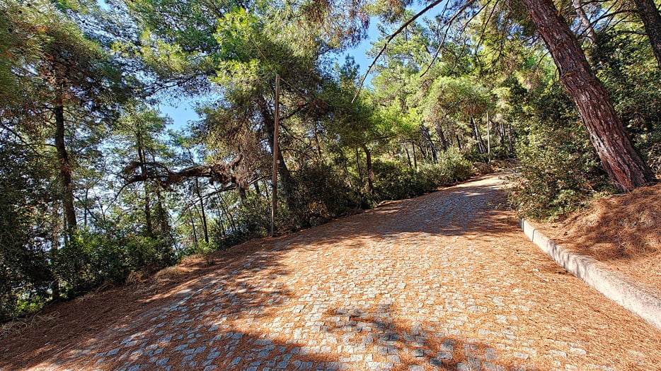 FuĂźweg zum Cafe