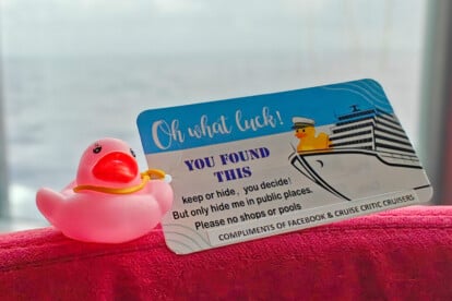 Cruising Duck