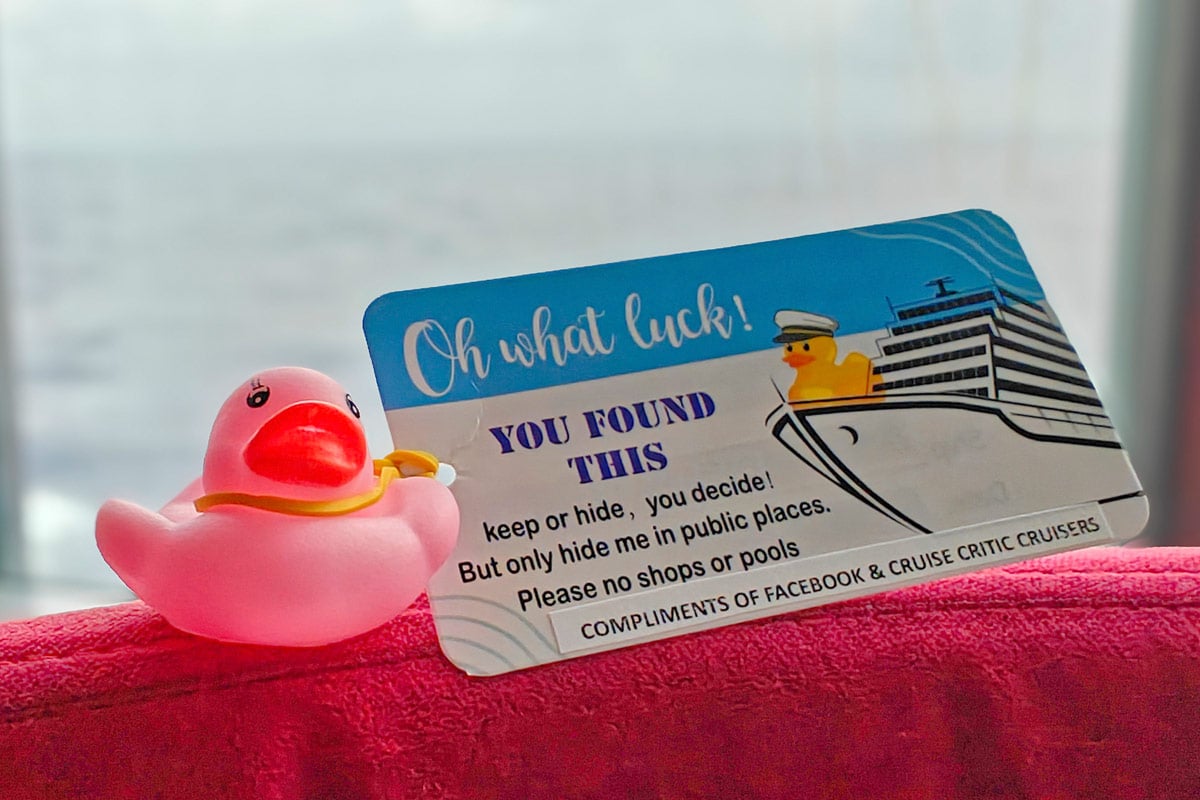 Cruising Duck