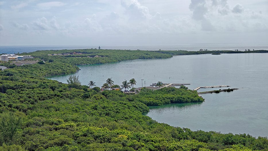 Große Teile von Great Stirrup Cay sind noch unberührte Natur.
