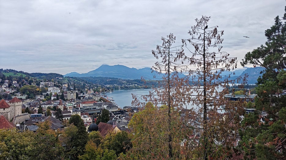 Blick von der Stadtmauer auf Luzern